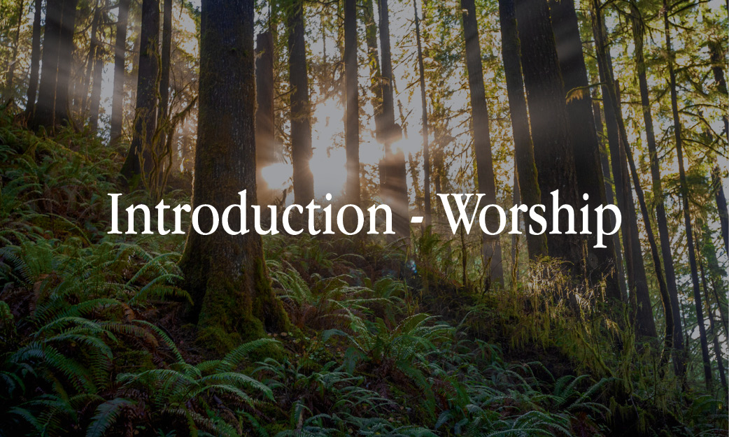 Introduction - Worship